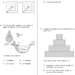 30 Levels Of Ecological Organization Worksheet Education Template