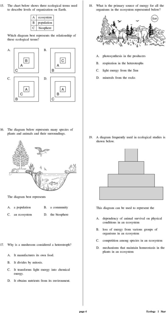 30 Levels Of Ecological Organization Worksheet Education Template