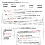 30 Levels Of Ecological Organization Worksheet Education Template