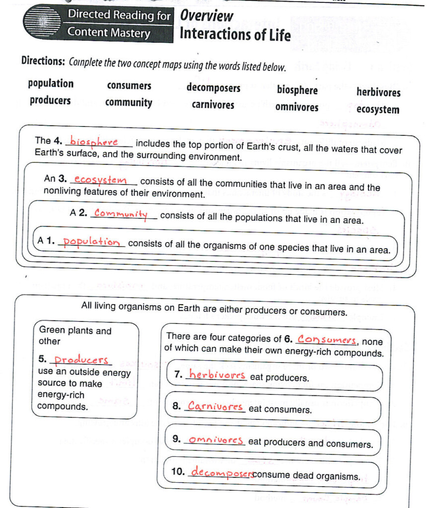 30 Levels Of Ecological Organization Worksheet Education Template