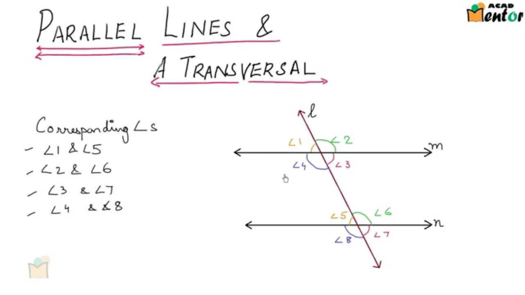 9 6 7 Parllel Lines And A Transversal Lines And Angles Class 9 CBSE 