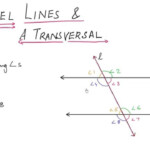9 6 7 Parllel Lines And A Transversal Lines And Angles Class 9 CBSE