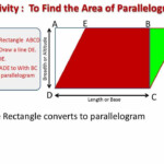 Area Of Parallelogram Area Of Parallelogram Worksheet