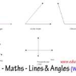 CBSE Papers Questions Answers MCQ CBSE Class 7 Maths Lines