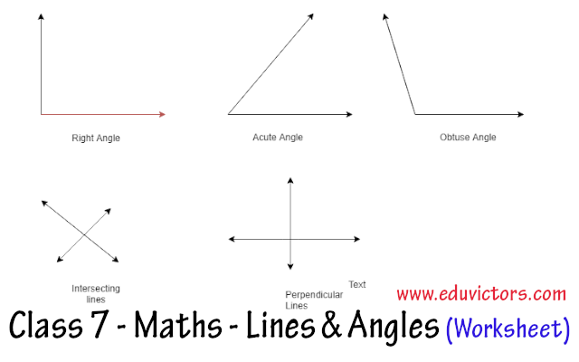 CBSE Papers Questions Answers MCQ CBSE Class 7 Maths Lines 