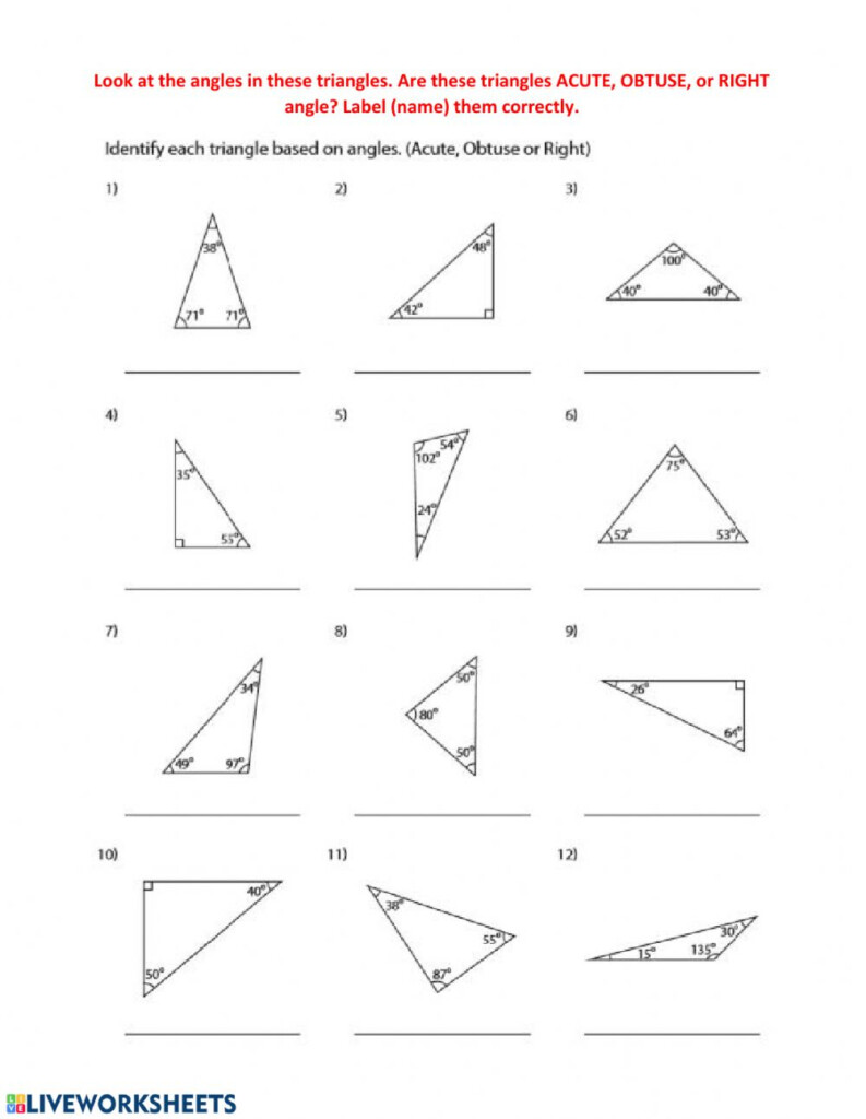 Classifying Triangles By Their Angles Interactive Worksheet