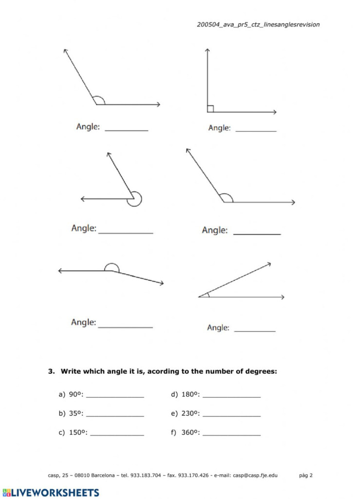 Cool Dude Answer Key Revising And Editing My PDF Collection 2021