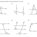 MEDIAN Don Steward Mathematics Teaching Parallel Line Angles