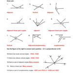 Pairs Of Angles Worksheet Answer Key Worksheet