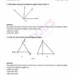 Pairs Of Angles Worksheet Answers Rd Sharma Solutions For Class 7 Maths