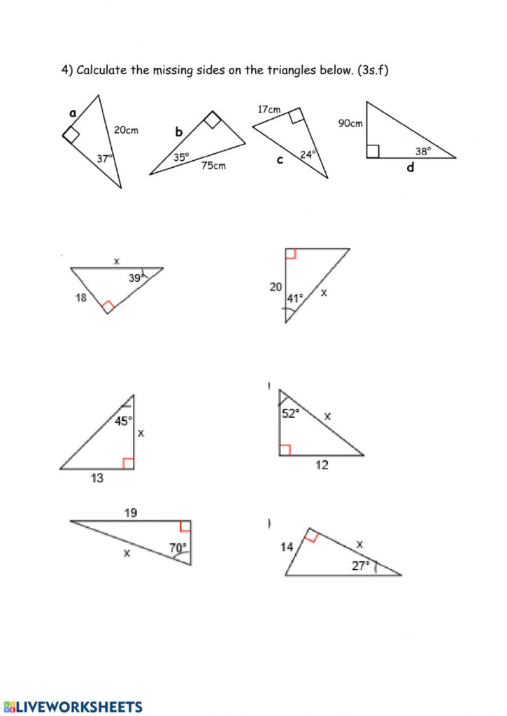Angles Grade 8 Worksheet