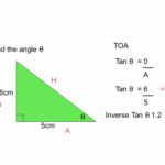 Find A Missing Angle Using The Tan Ratio Worksheet EdPlace