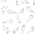 Forces At Angles Worksheet 4 7 Answers Angleworksheets