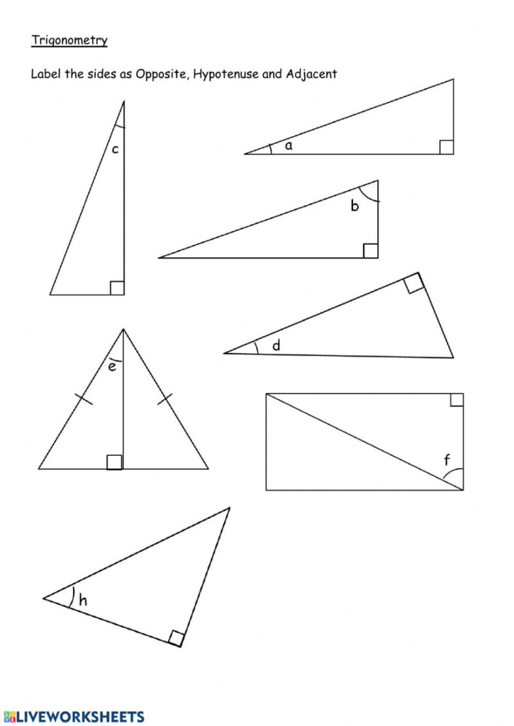 Label Sides In Right Angle Triangles Worksheet