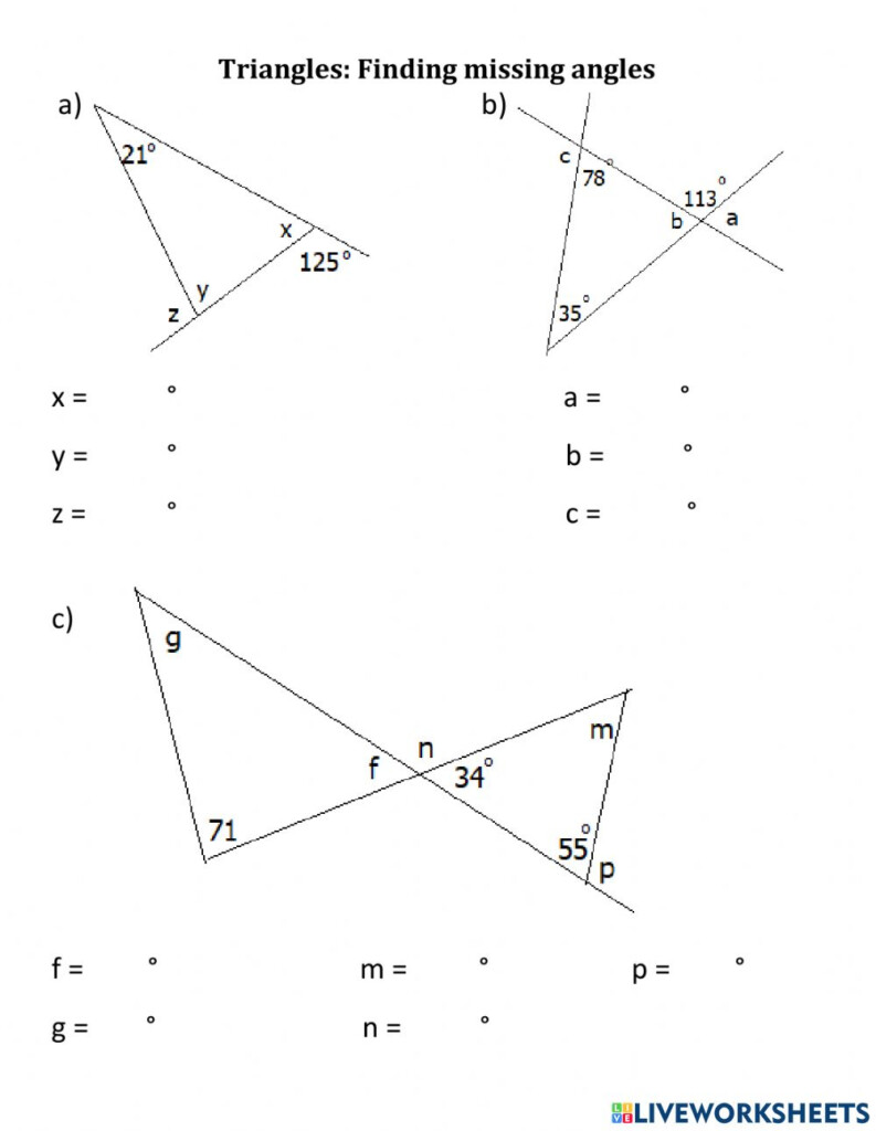 Triangle Angle Sum Worksheet Answers