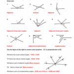 Worksheet Angle Worksheets Printable Relationship Th Db excel