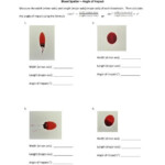 Bloodstain Angle Of Impact Worksheet Answers Ameise Live