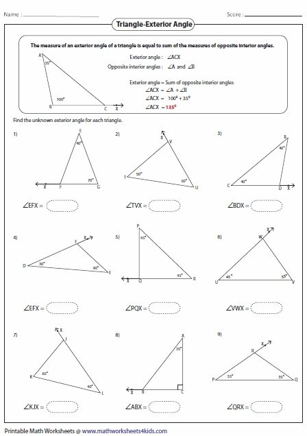 Triangle Sum Theorem And Exterior Angle Theorem Worksheet An