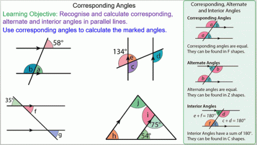 Alternate Corresponding And Co Interior Angles Worksheet