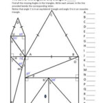 Missing Angles In Triangles Worksheet Answers Snake Snake Poin