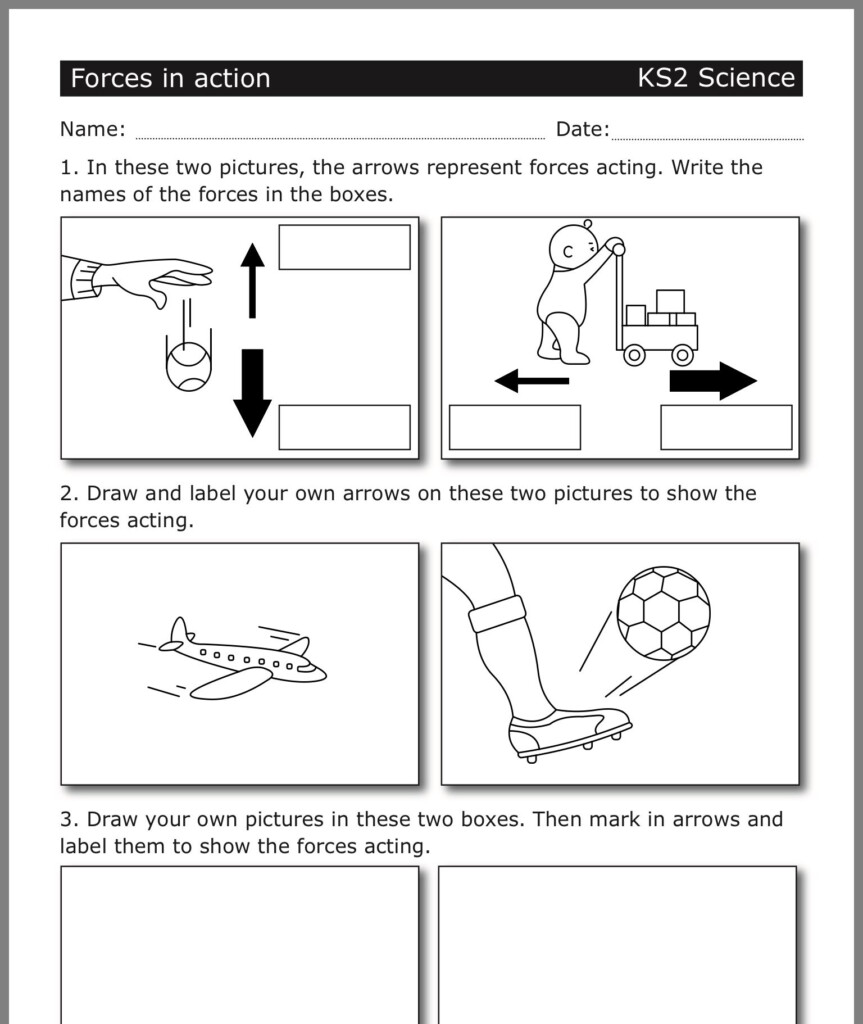 Recognizing Forces Worksheet Answers