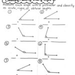 Classifying Measuring Drawing Angles Worksheet TPT
