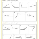 Drawing And Measuring Angles Worksheet PDF Printable Geometry Worksheets