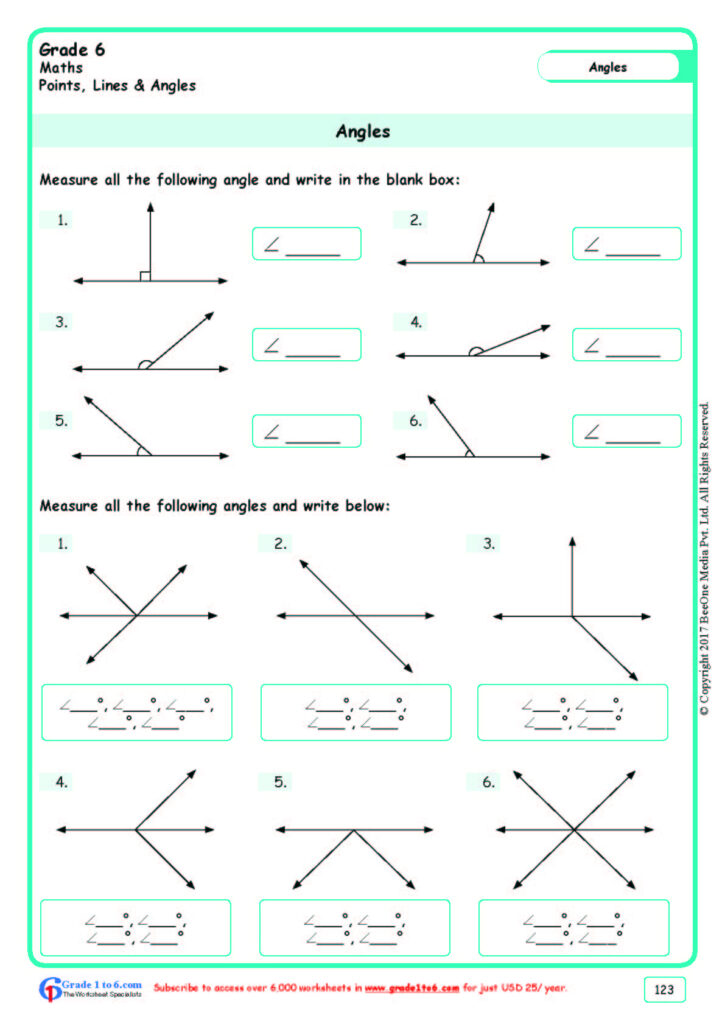 Measuring Angles Incentive Publications Worksheet 6th Grade 