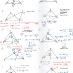 Perpendicular And Angle Bisectors Worksheet Answers